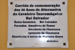 Imagens de Tomar    08-08-2014
